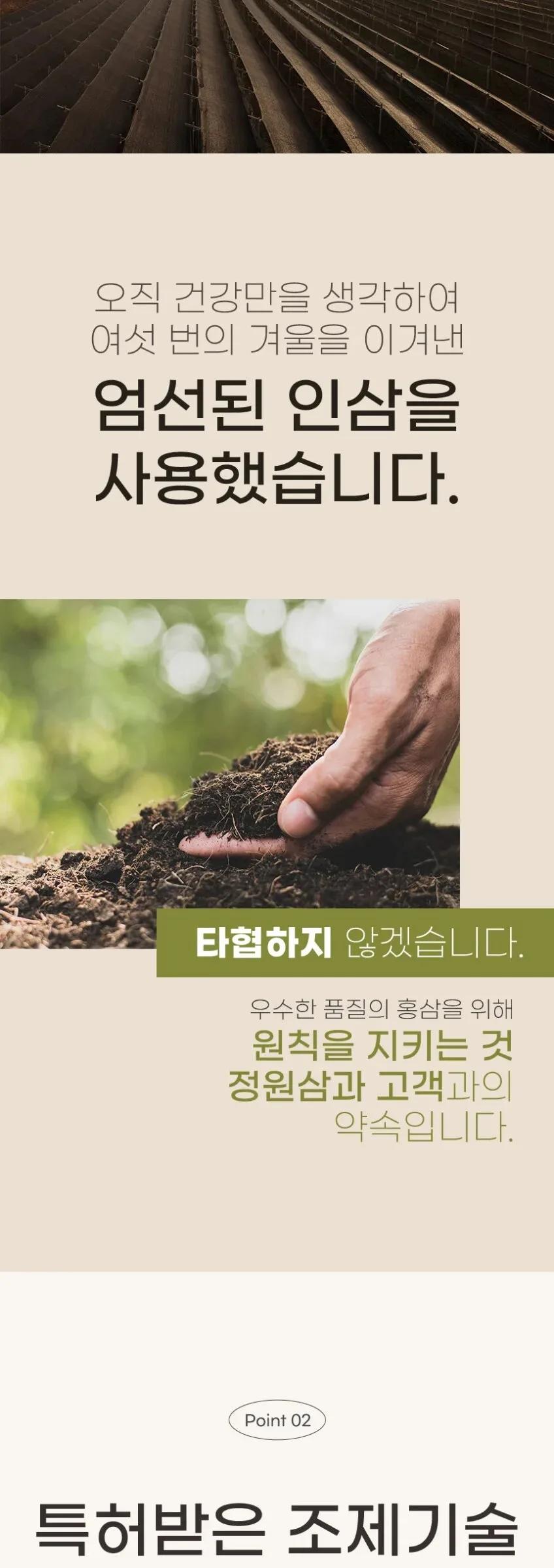 JUNGWONSAM 6-Year Korean Red Ginseng Extract 365 Stick Gift Set 10g x 30 Sticks Detail