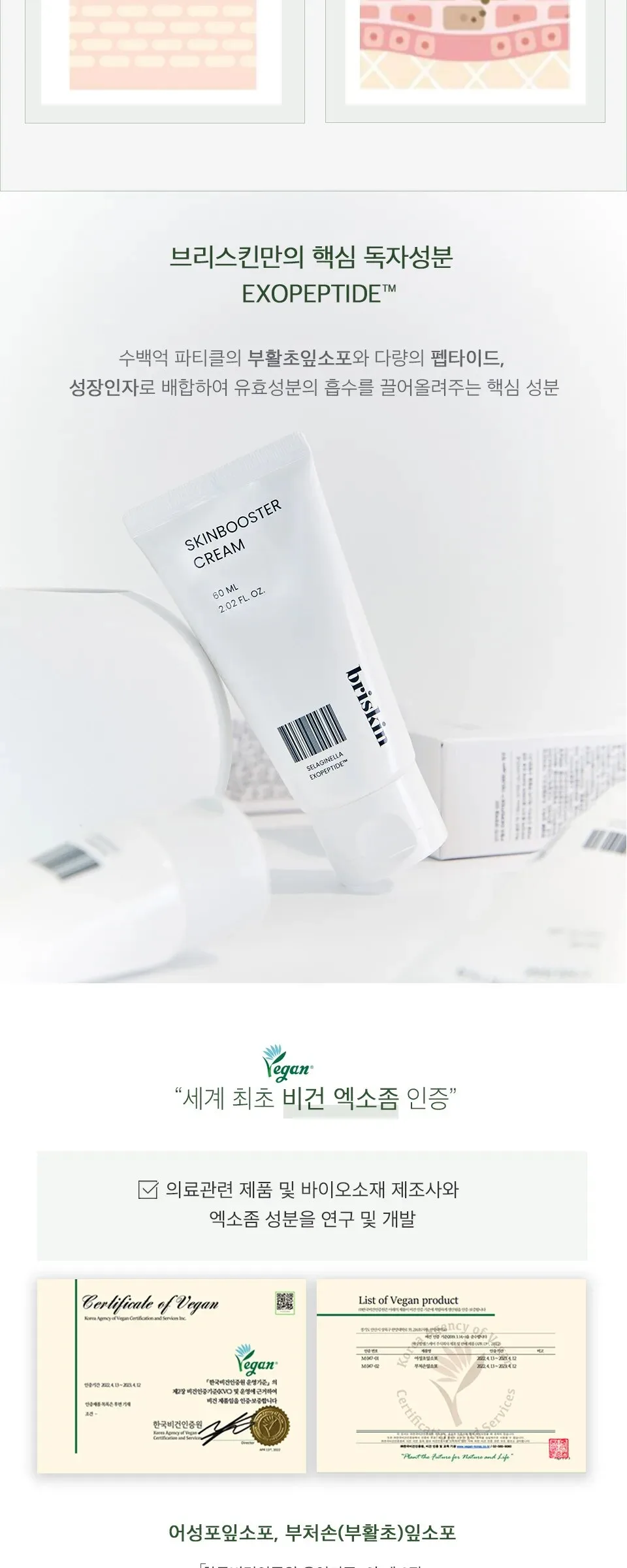 BRISKIN Selaginella Exopeptide Skin Booster Cream 60ml Detail