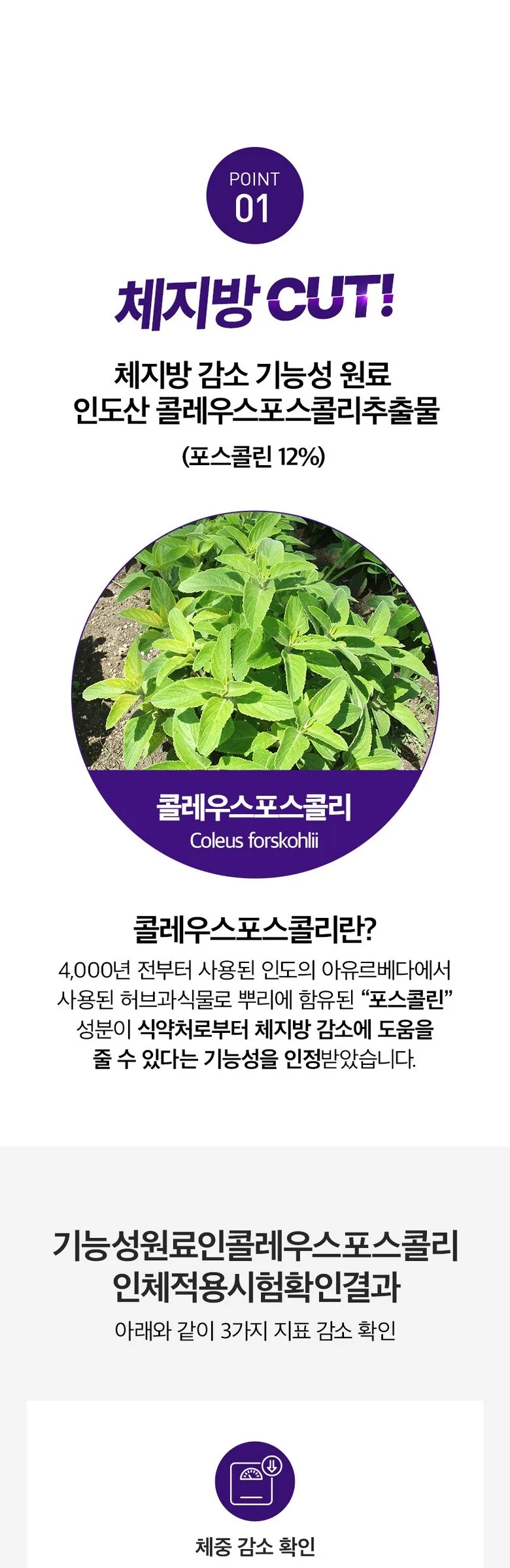 SERYBOX Seri-Burn Oasis Line Cut V2 Prune Flavor 8g×28 Sticks Detail
