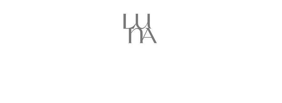 LUNA Pro Photo Finisher 02 Blur Powder Detail