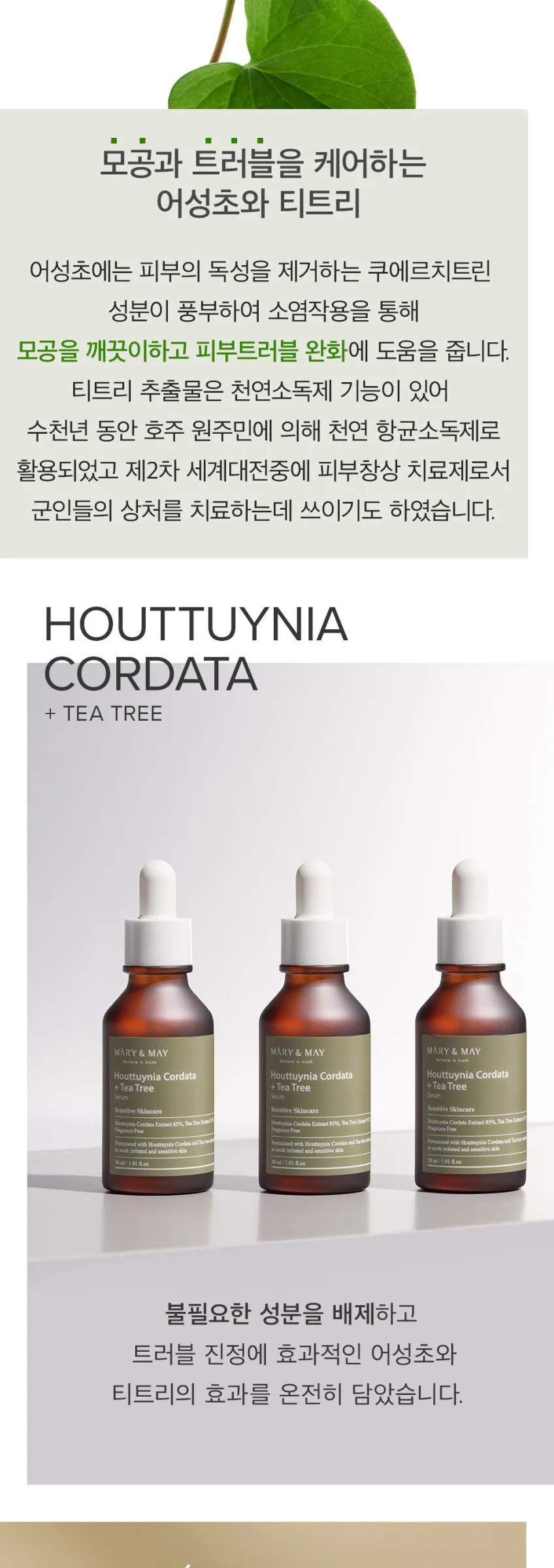 Mary&May Houttuynia Cordata + Tea Tree Serum 30ml Detail
