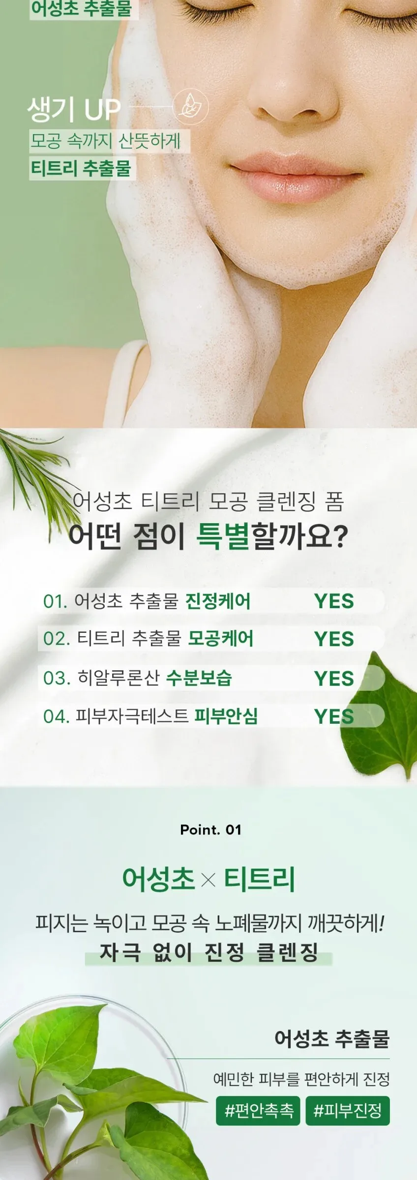 Mary&May Houttuynia Cordata + Tea Tree Cleansing Foam 150ml Detail