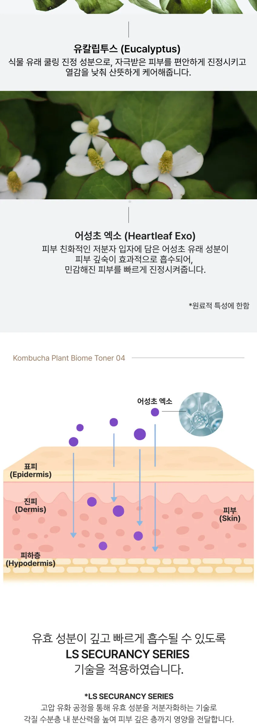 Herbloom Kombucha Plant Biome Toner 150ml Detail