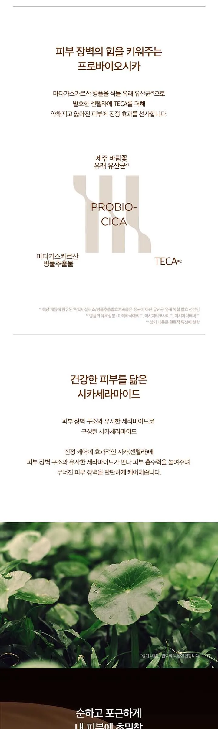 Skin1004 Madagascar Centella Probio-Cica Nourishing Mask 22ml × 5 Sheets Detail