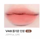 V48 Joyful Life