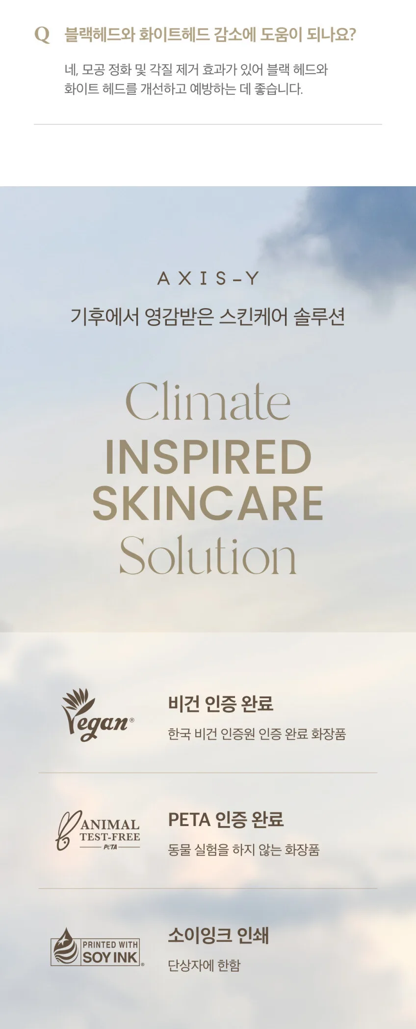 AXIS-Y Pore Clarifying Wash Off Pack 100ml Detail
