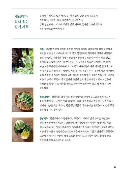 Sangsang Publishing - Kimchi Class by Bae Myung-ja (Korean Edition) - Image 6