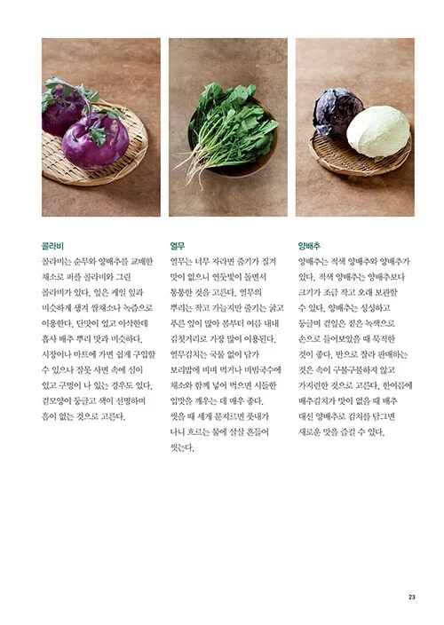 Sangsang Publishing - Kimchi Class by Bae Myung-ja (Korean Edition) - Image 9