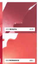 03 Bonita