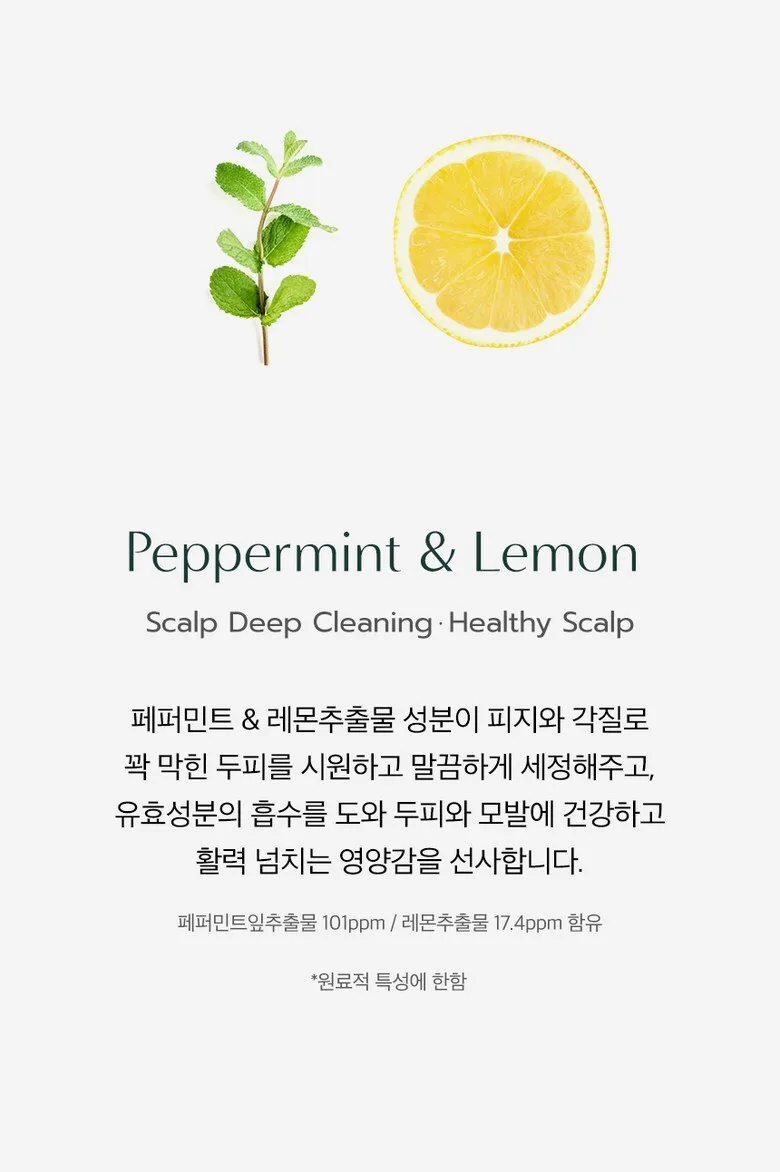 Dr. Seed Peppermint & Lemon Vegan Dandruff Care Cool Hair Loss Shampoo 1L x 2 Pack Detail