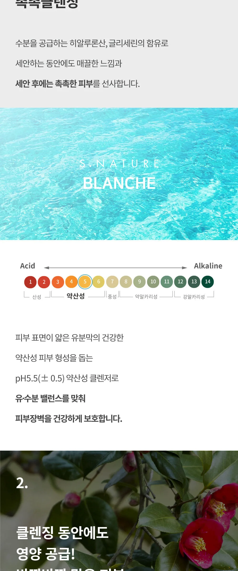 S.NATURE BLANCHE CLEANSER 260ml Detail
