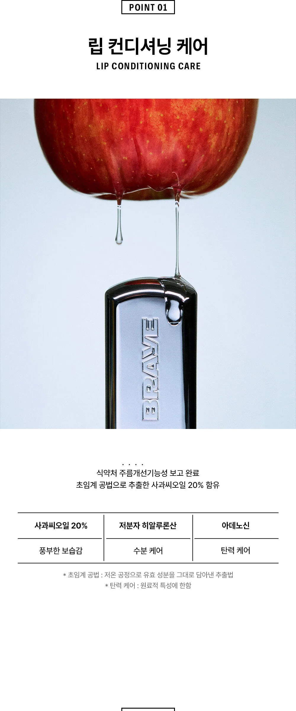 BRAYE Lipsleek 2.3g Detail