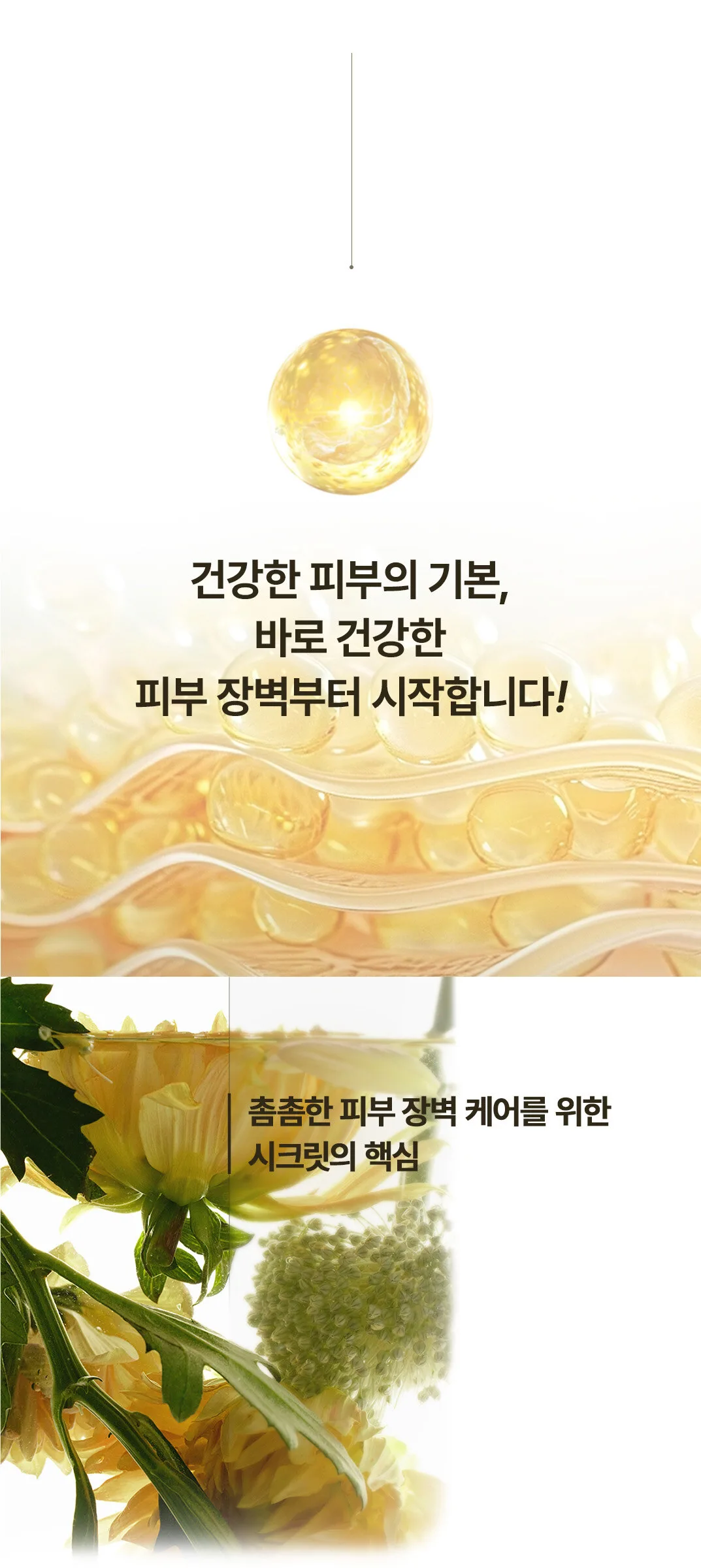 SU:M37 Secret Essence 80ml Set Detail