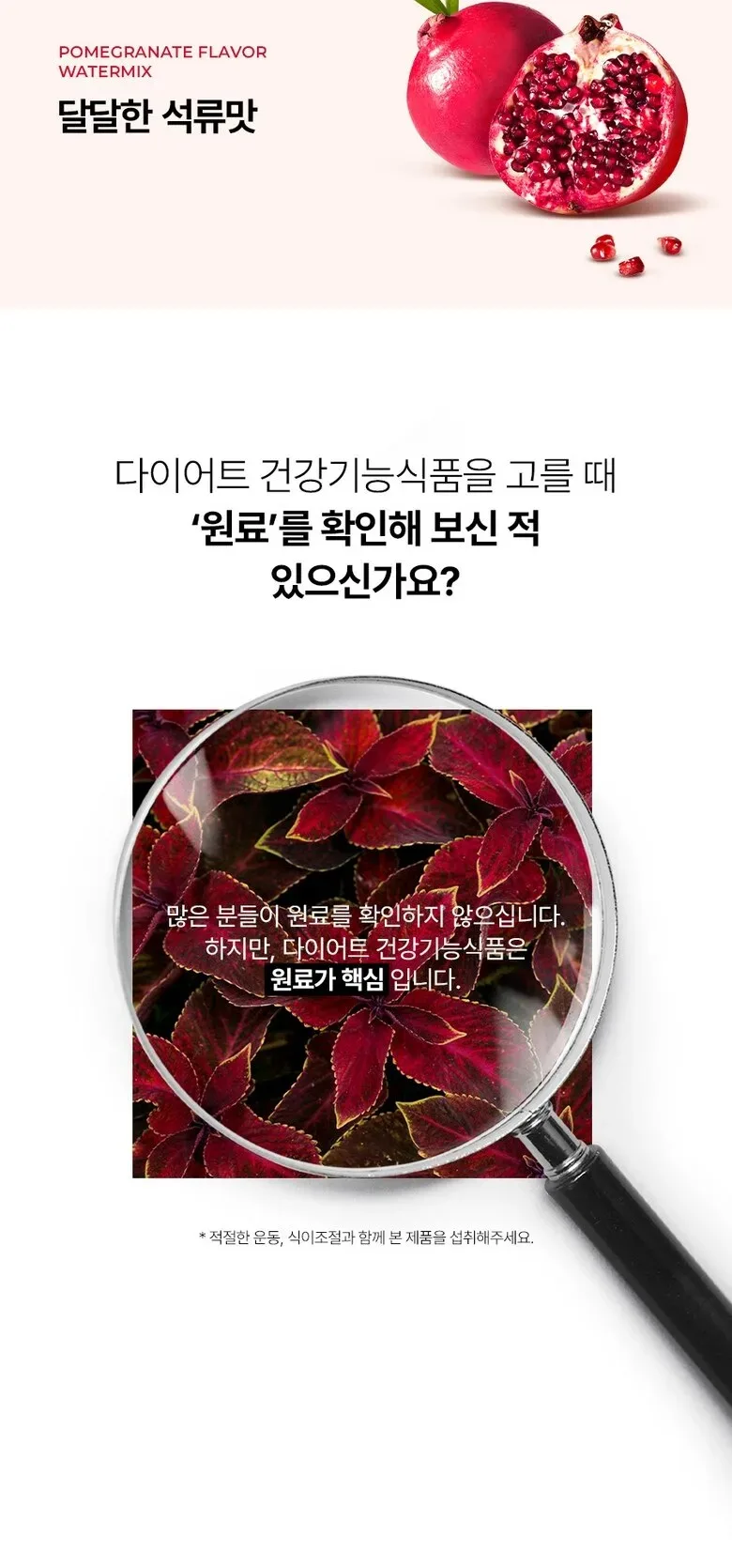 FOODOLOGY Coleology Tea Pro Hobby Escape 15sticks 120g Detail
