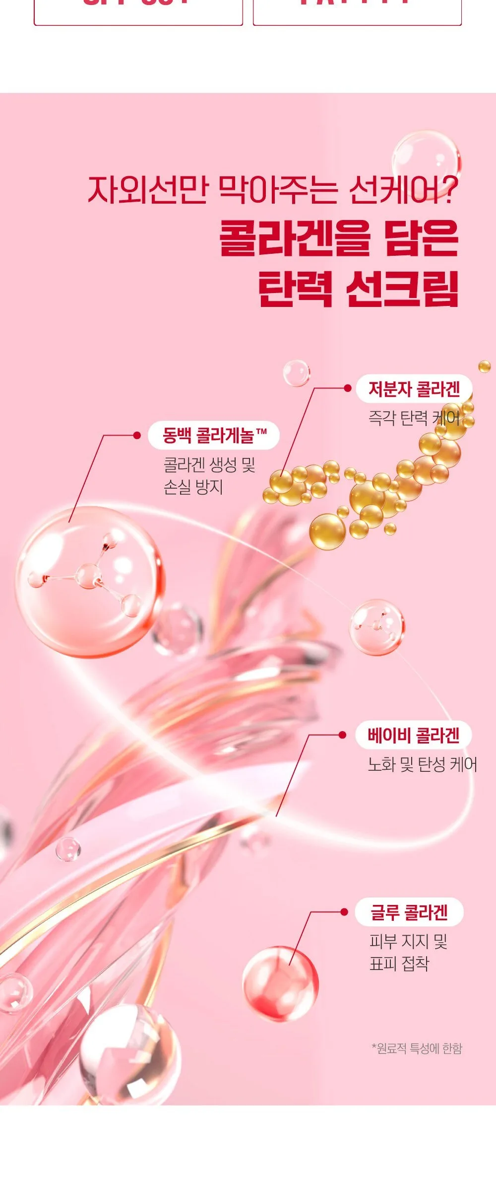 ROUND LAB Dongbaek Deep Collagen Elasticity Sun Serum SPF50+ PA++++ 50ml Detail