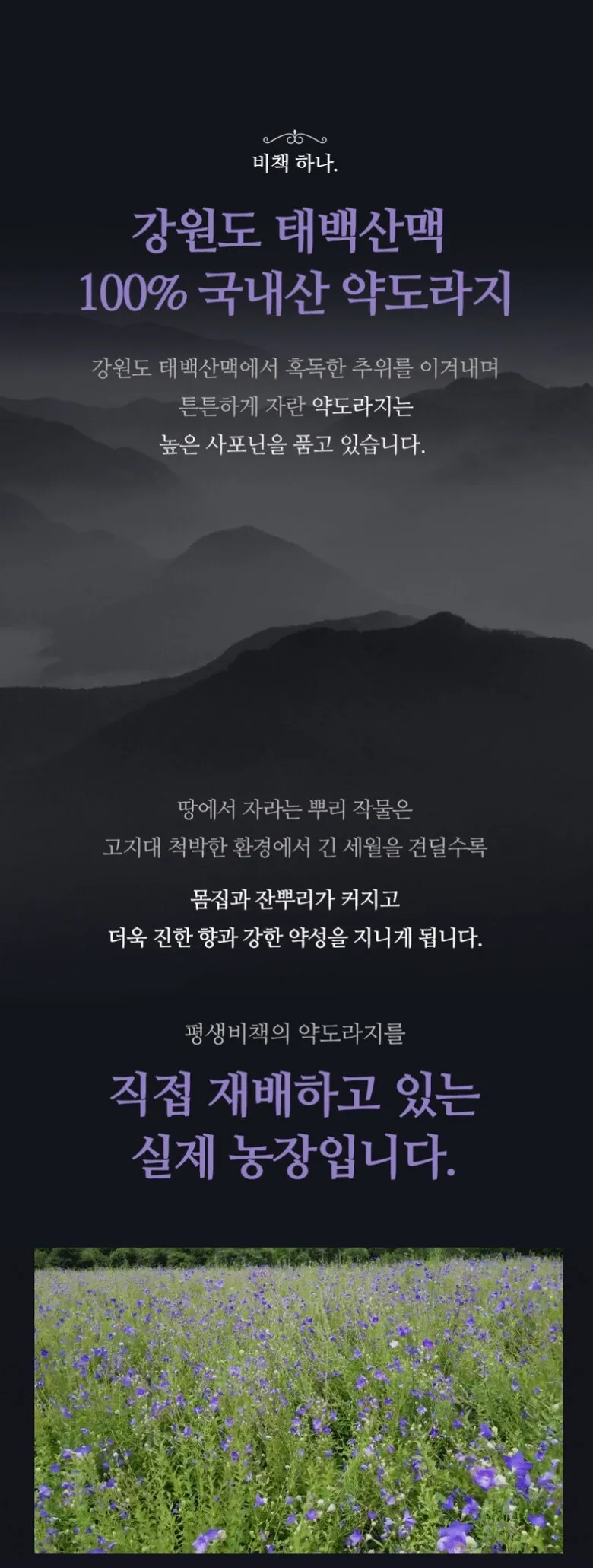 Pyeongsaengbichaek Gangwon-do Medicinal Balloon Flower Extract 100% Sugar-Free 30 Sticks Detail