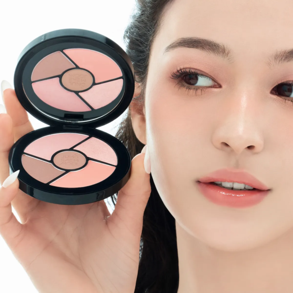 Jung Saem Mool Artist Eye Palette Core 8.5g