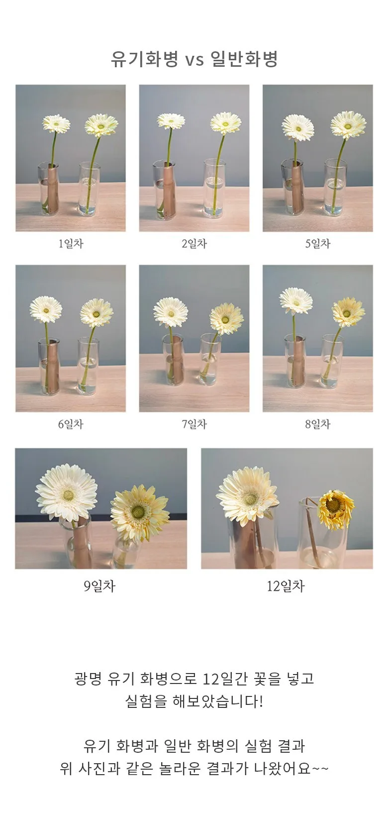 Gwangmyeong Yugi Brass Soju & Liquor Shot Glass Set 2pc Detail