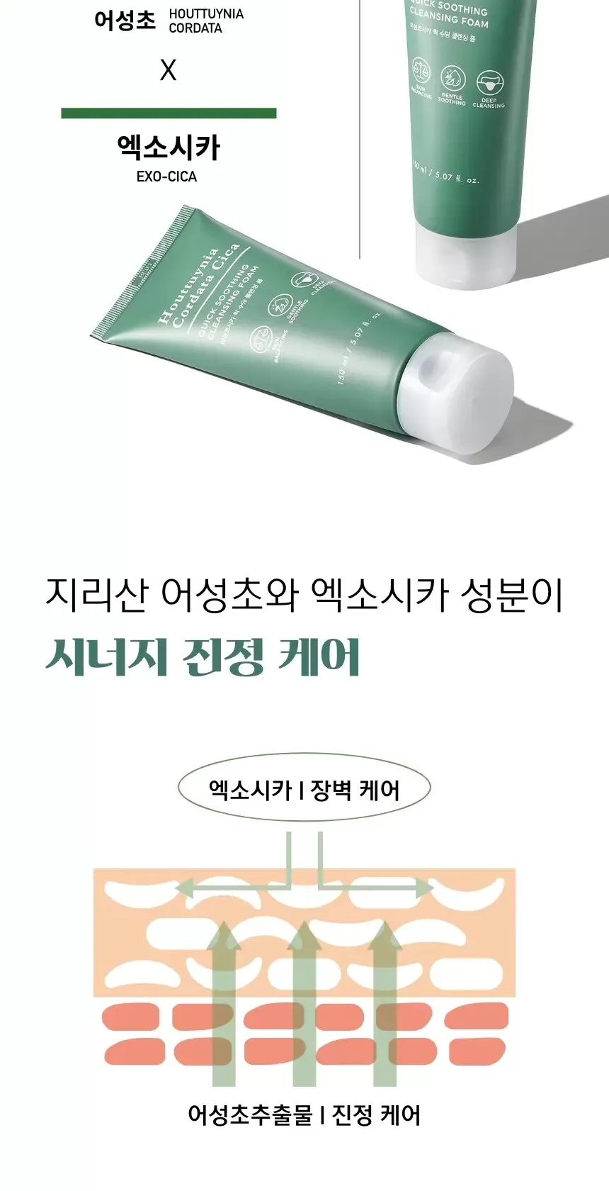 TONYMOLY Houttuynia Cordata Cica Quick Soothing Cleansing Foam 150ml Detail