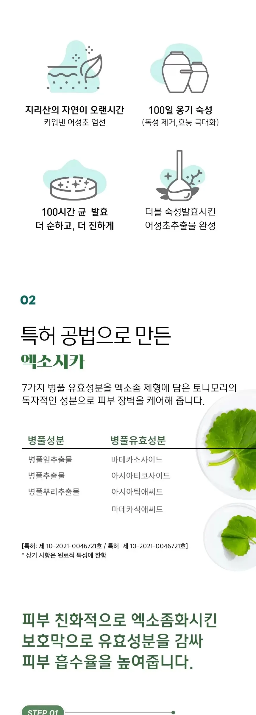 TONYMOLY Houttuynia Cordata Cica Quick Soothing Cleansing Foam 150ml Detail