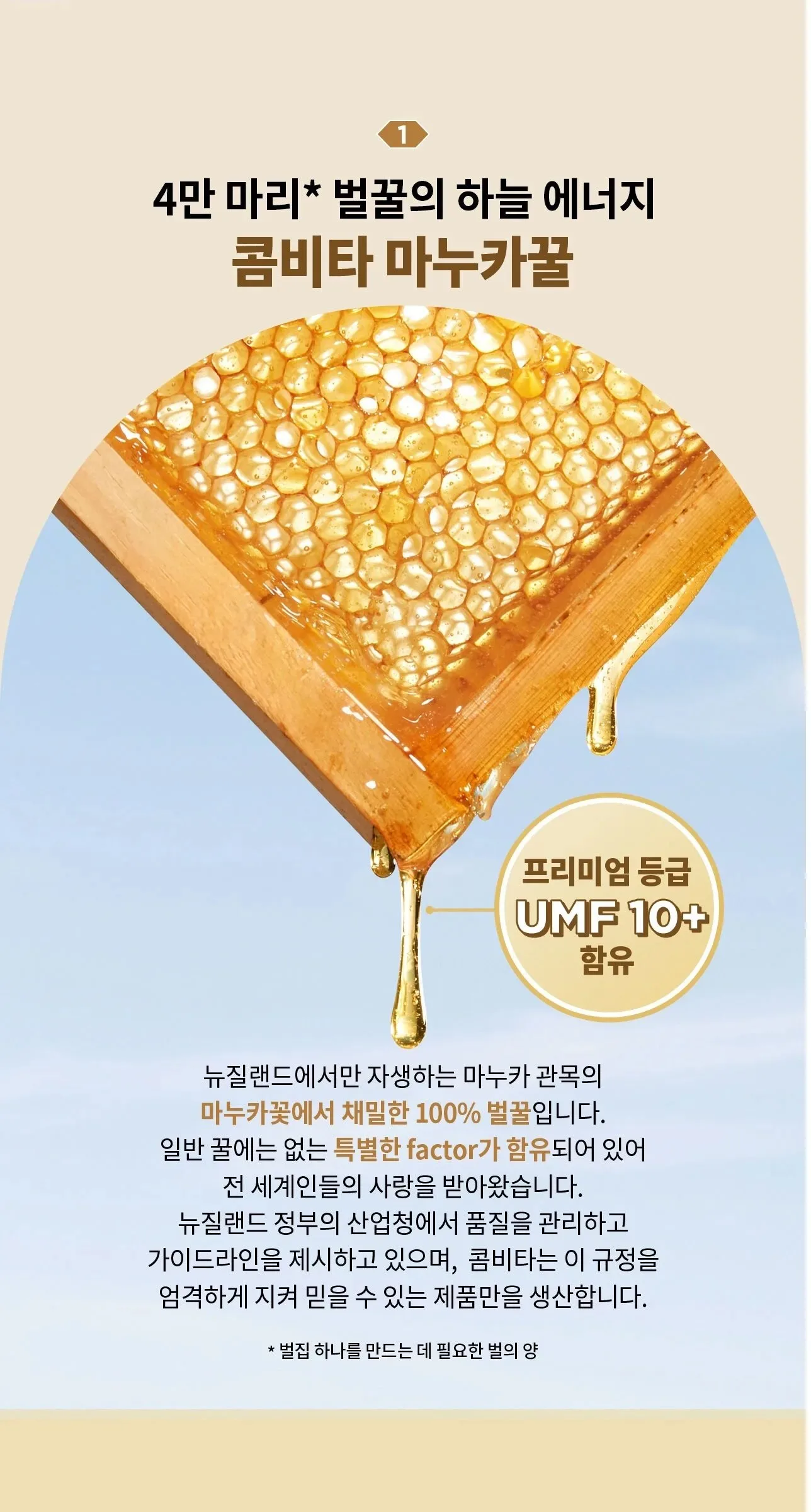 JUNG KWAN JANG Ginseng Manuka 15g*30pcs Detail