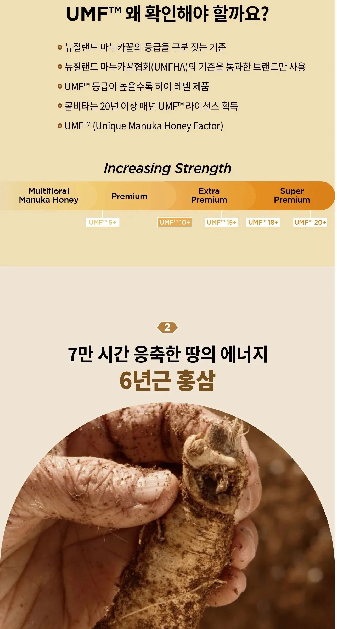 JUNG KWAN JANG Ginseng Manuka 15g*30pcs Detail