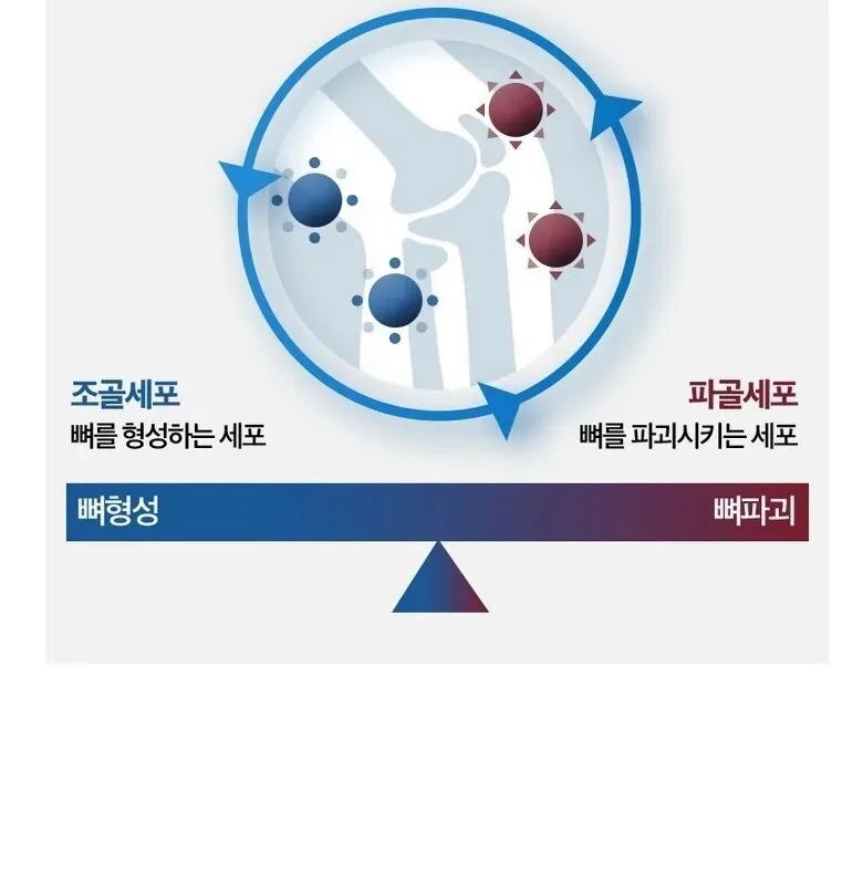 JuYeong NS Bone Health MBP 30 tablets Detail