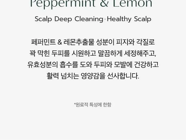 Dr.SEED Peppermint & Lemon Vegan Dandruff Care Cool Anti Hairloss Scalp Scrub Shampoo 250g Detail