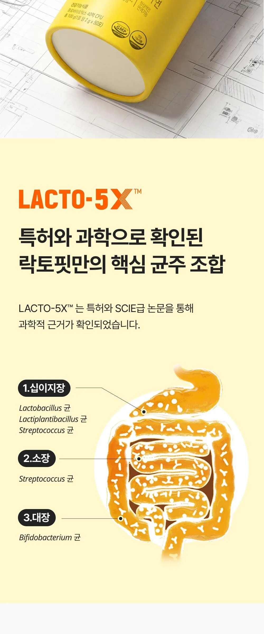 Chong Kun Dang Lacto Fit Gold 5X Probiotics 50 Sticks (50 Days) Detail