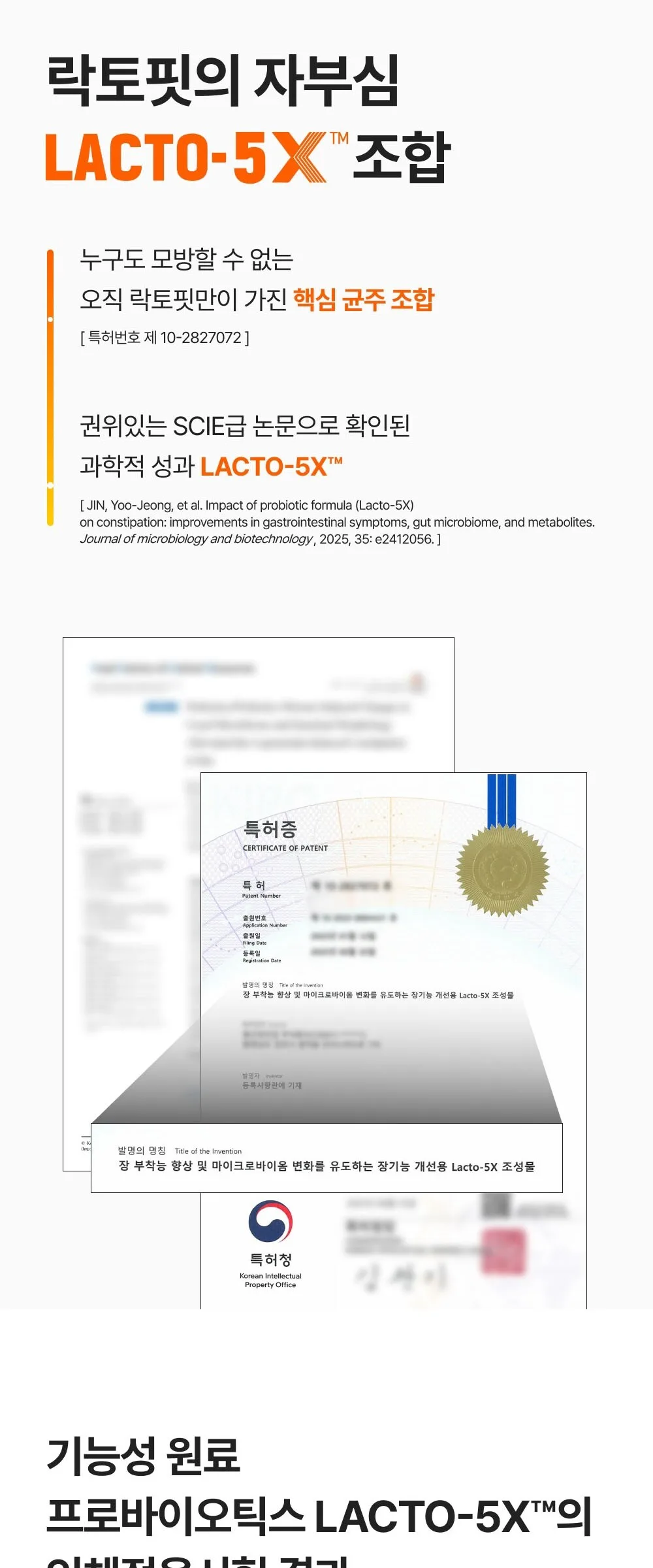 Chong Kun Dang Lacto Fit Gold 5X Probiotics 50 Sticks (50 Days) Detail