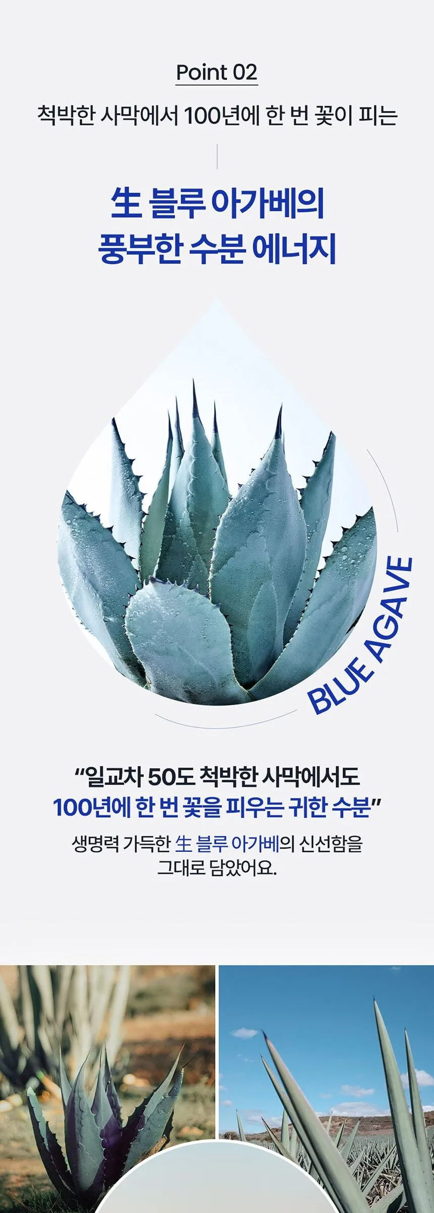 T’ELSE Blue Agave Hyaluronic Acid Mask 5 Pack Detail