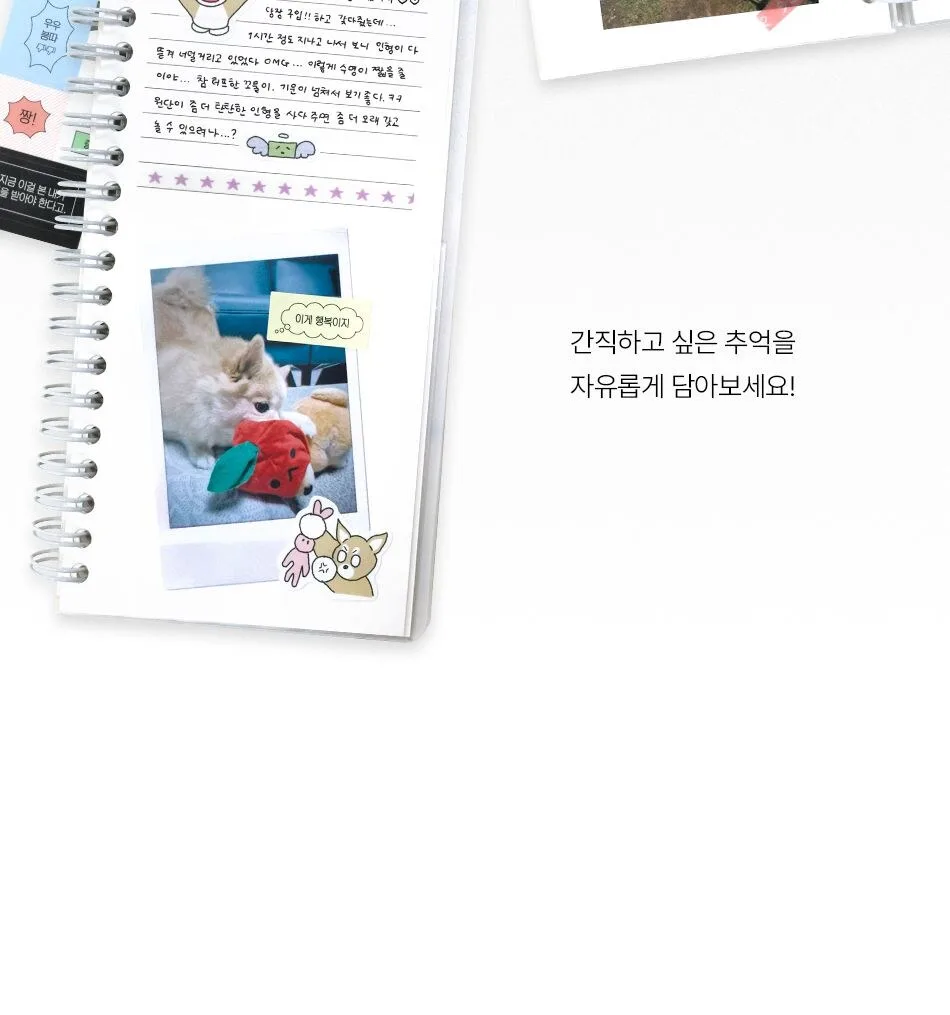 Be On D Handy Ticket Book Catch Your Days Ver.2 – Korean Stationery Memory Keeper Detail