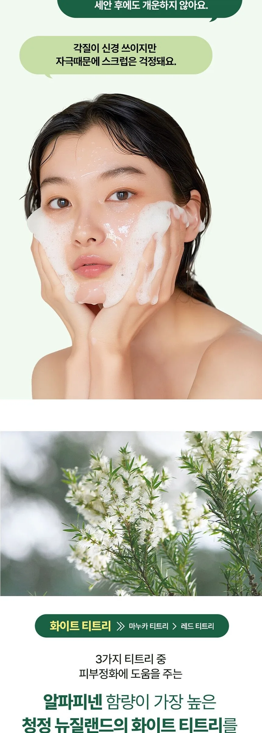 T’ELSE White Tea Tree Arc Plus Pack Cleanser 100ml Detail