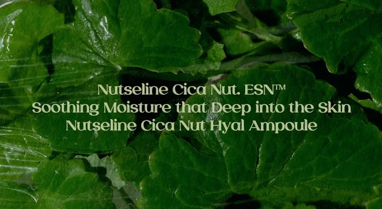 Nutseline Cica Nut Hyal Ampoule 90ml Detail