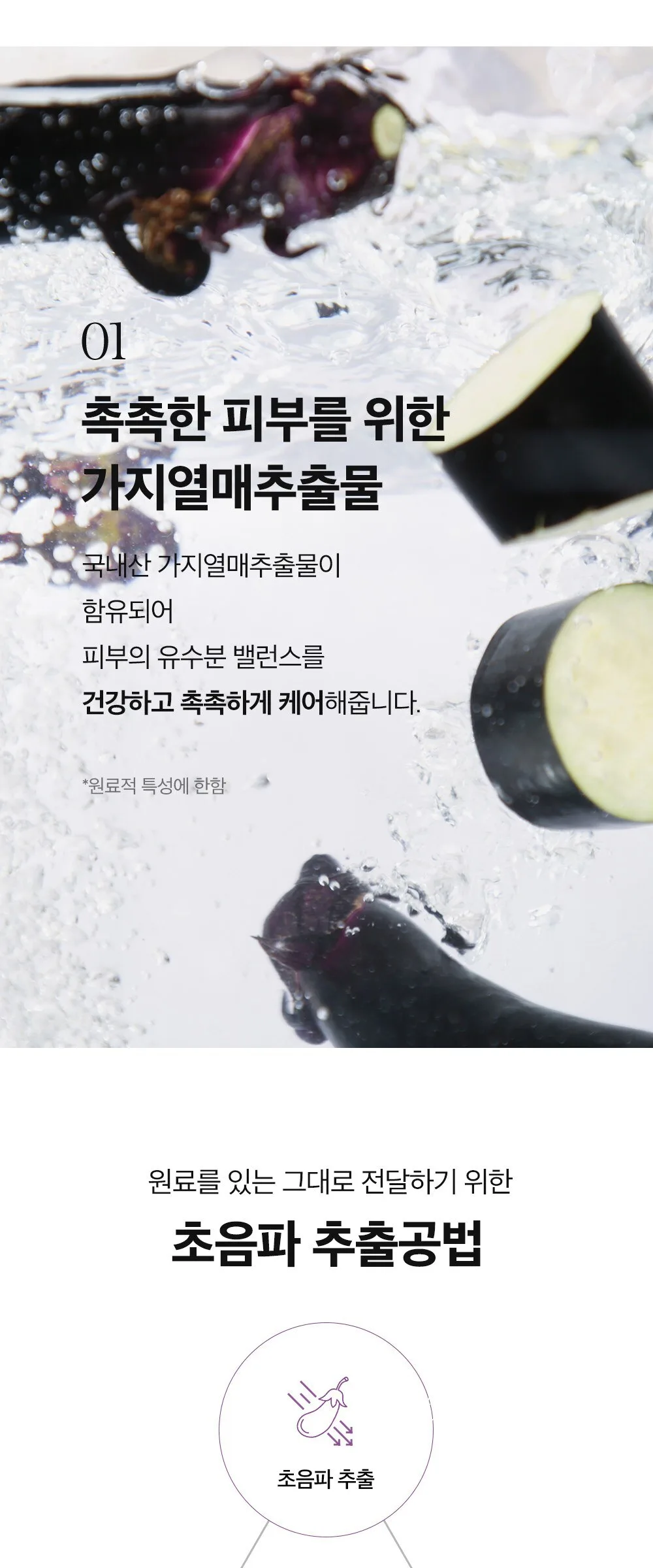 Papa Recipe Eggplant Clearing Peeling Pad Toner 255ml Detail