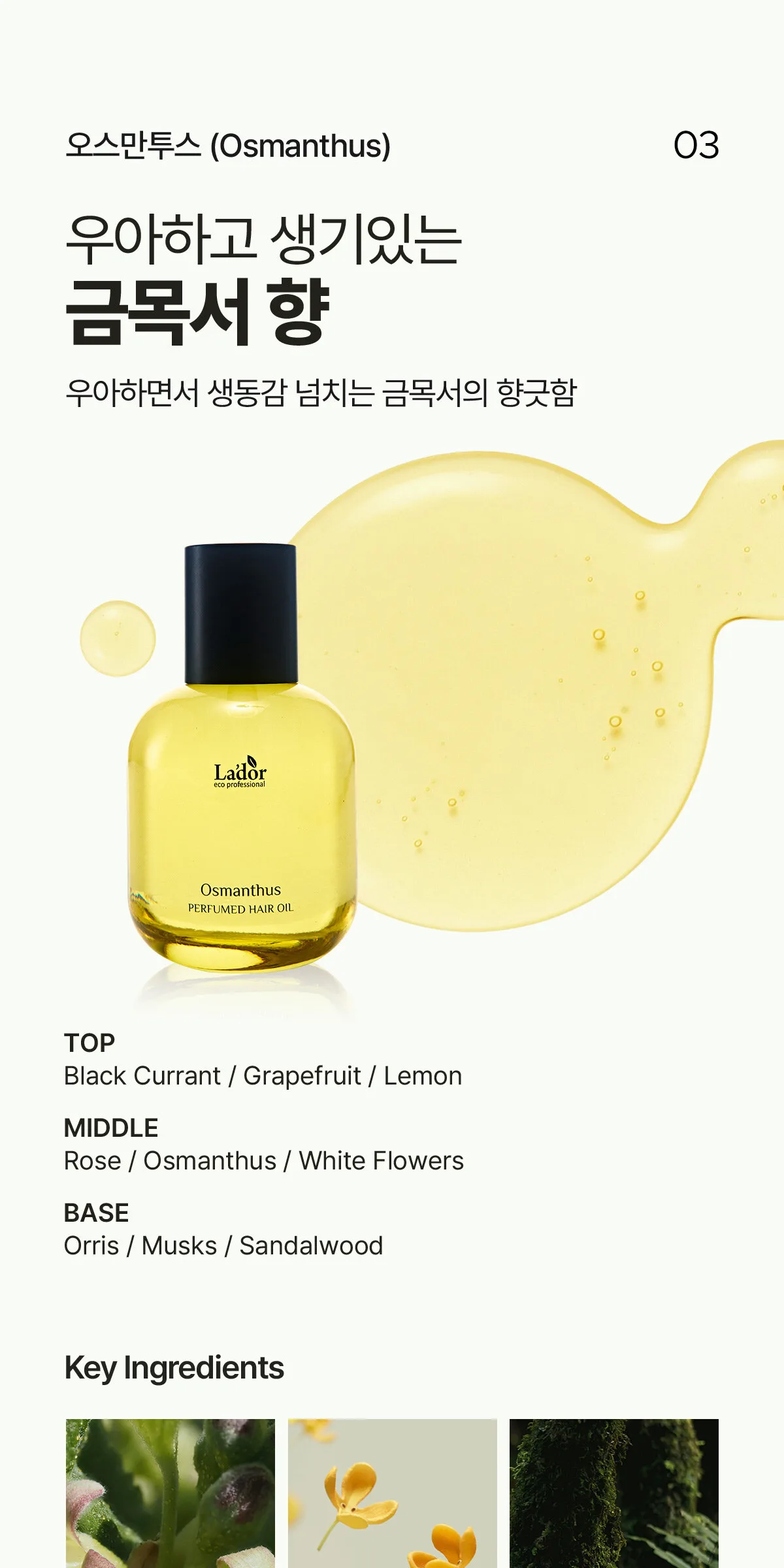 LADOR Perfume Hair Oil 30ml Detail