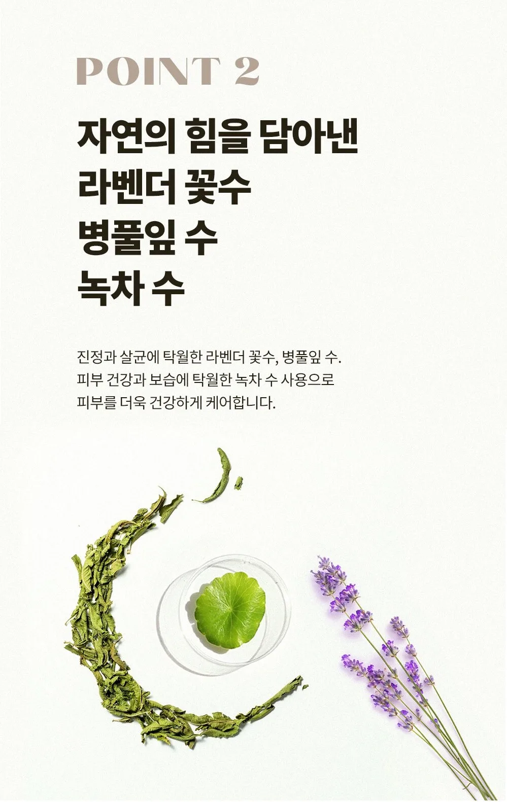 QUA-T Dia All Green Total Essence Cream 100ml Detail