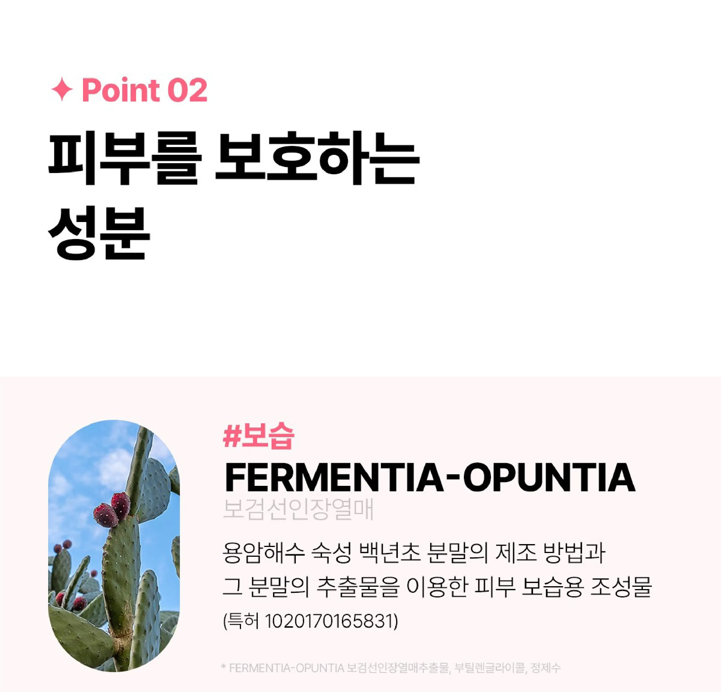 Rienk Pink Volume Radiance Color Cream 30ml Detail