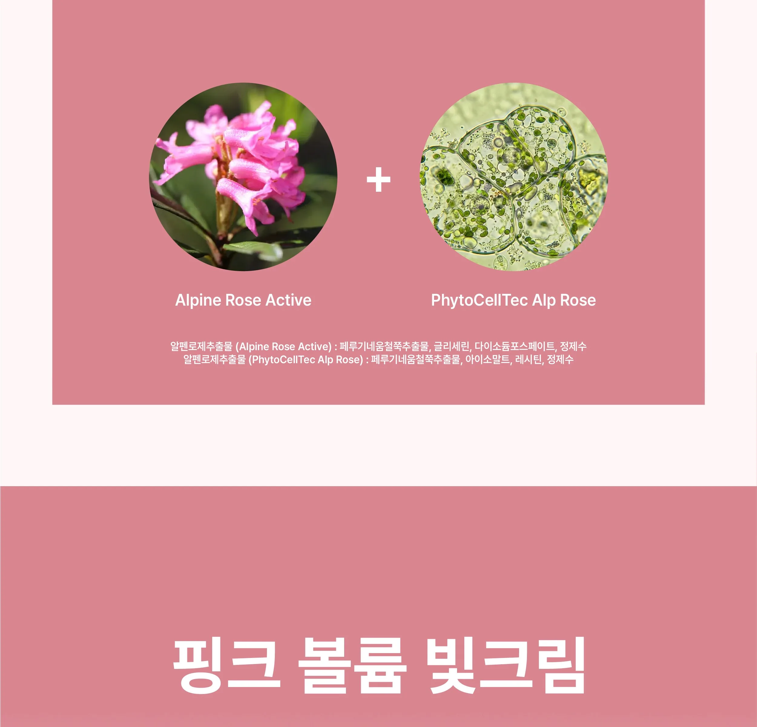 Rienk Pink Volume Radiance Color Cream 30ml Detail