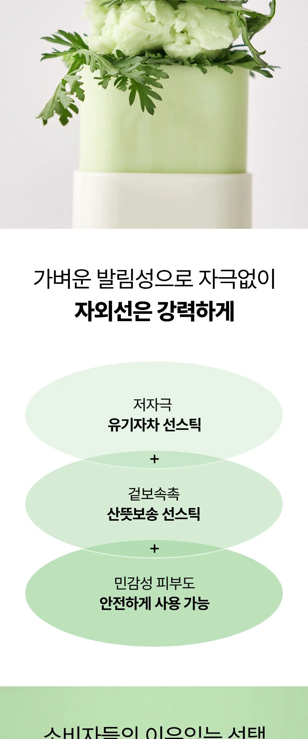BEAUTY OF JOSEON Matte Sun Stick Mugwort+Camelia 18g Detail