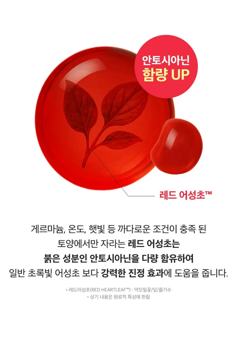 Seongbun Editor Red Eoseongcho Soothing Ampoule 40ml - Acne Calm & Moisturizing Detail