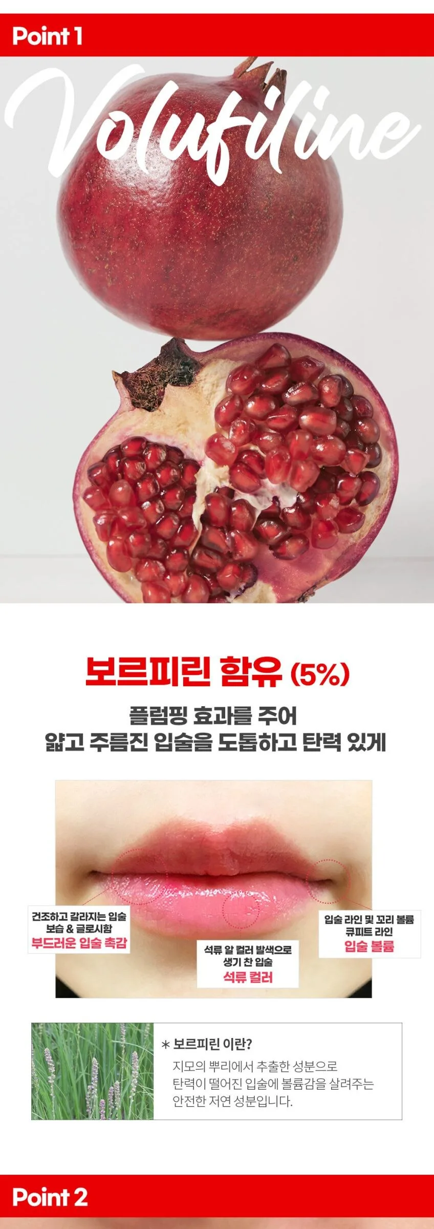 FRUDIA Pomegranate Honey 3in1 Lip Balm 10g – Colored Lip Balm+Plumping+Moisturizing Detail