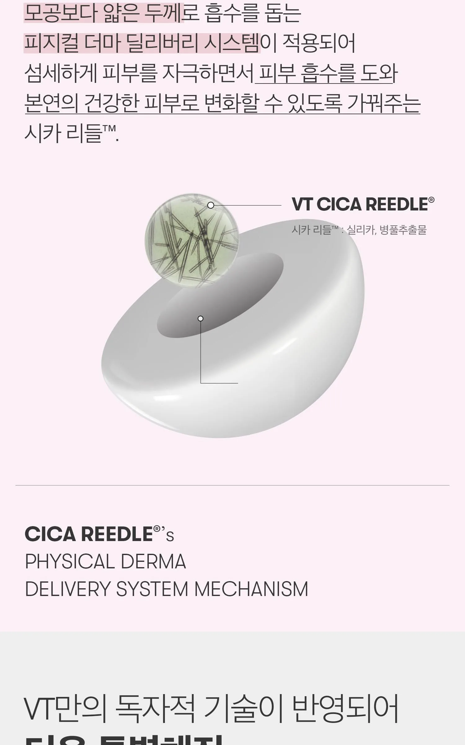 VT COSMETIC REEDLE SHOT LIP PLUMPER Detail