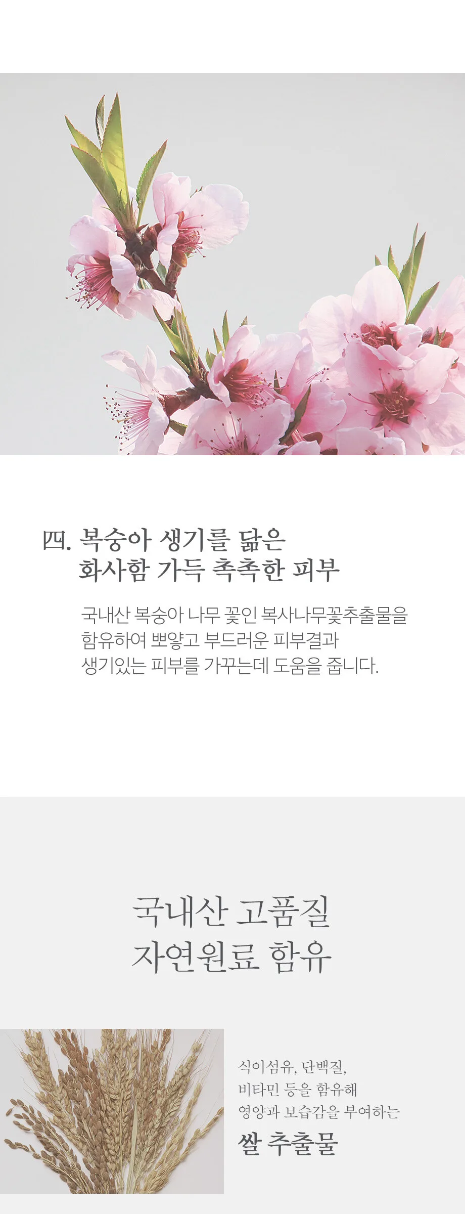 HOUSEOFDOHWA Peach Blossom Overnight Mask 50ml Detail