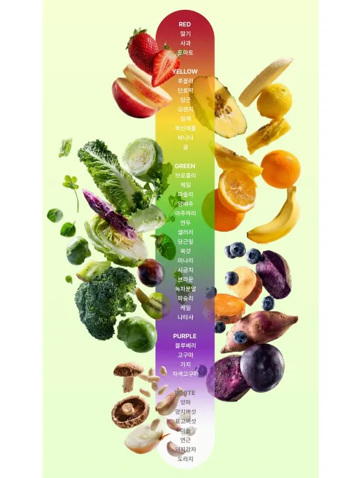Medisonbell Salady Cool Bite Salad Jelly 7 Packs + 1 Pack / 14 Packs - Image 3