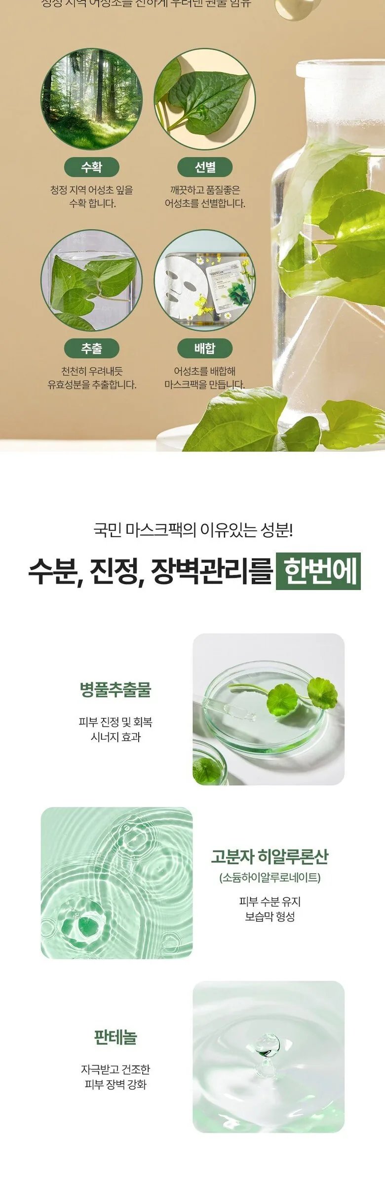 allNATURAL Houttuynia Cordata Mask Sheet 30pcs Detail