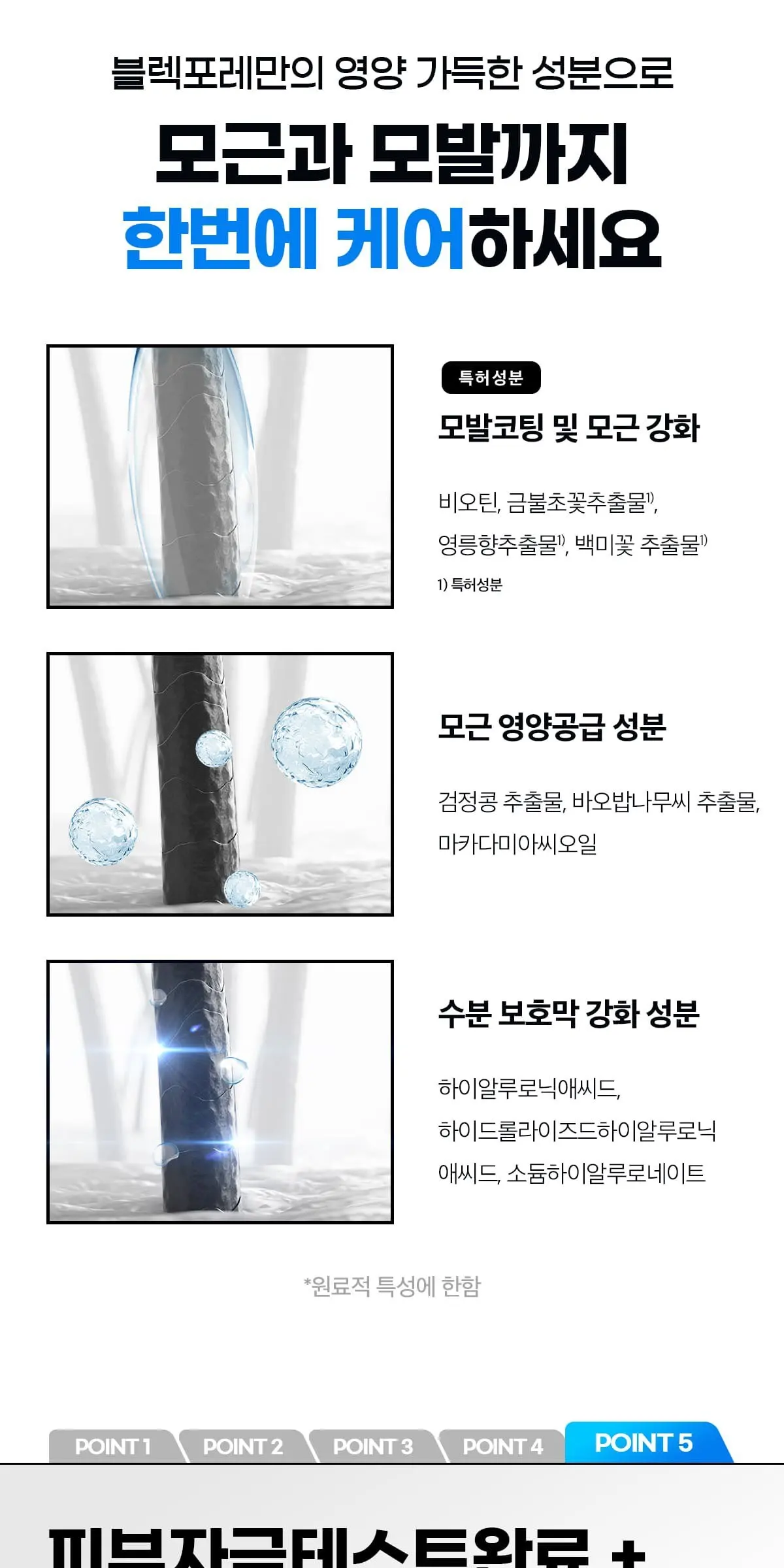 BLACK FORET Frozen Cool & Calming Scalp Tonic Spray 100ml 1ea Detail