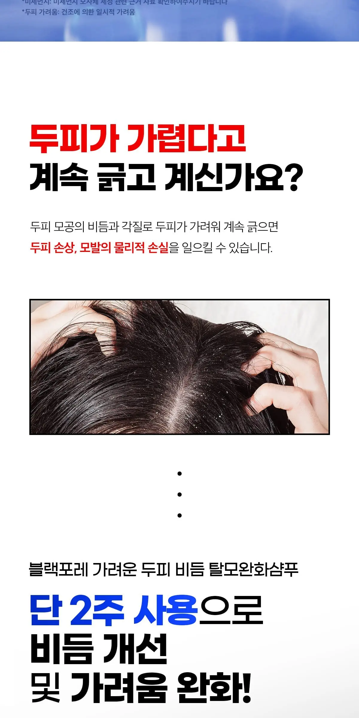 BLACK FORET Frozen Itch Scalp Anti-Dandruff Shampoo 500ml Detail