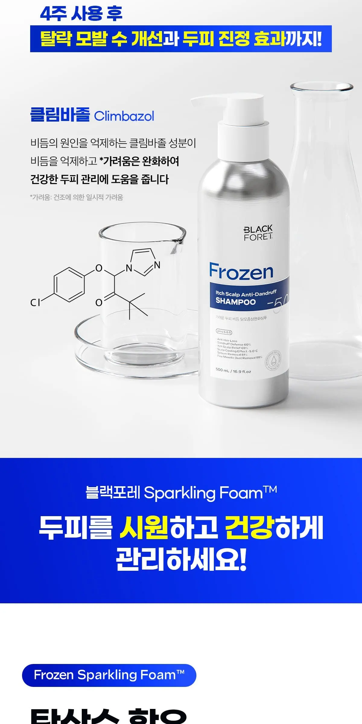 BLACK FORET Frozen Itch Scalp Anti-Dandruff Shampoo 500ml Detail