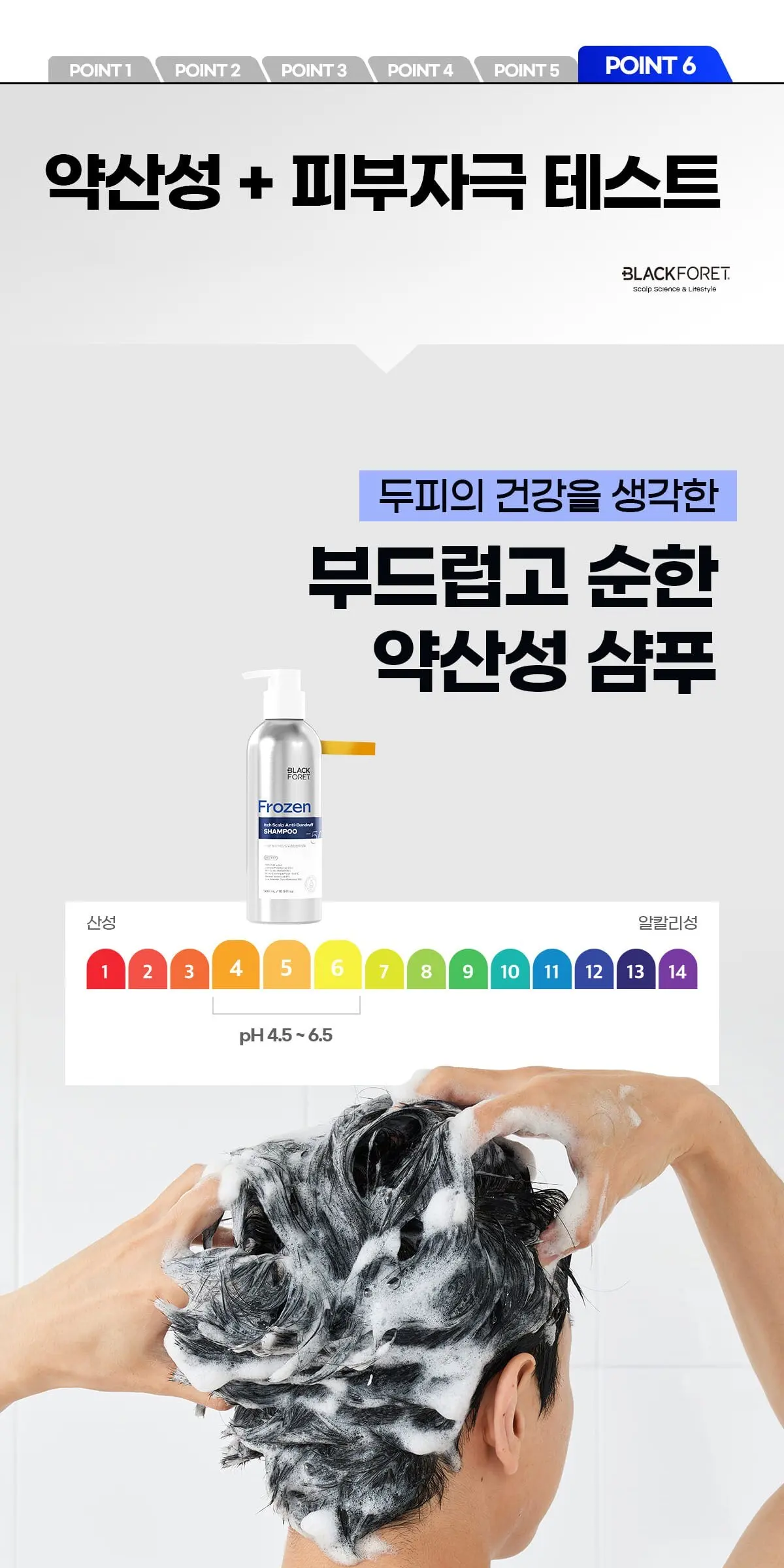 BLACK FORET Frozen Itch Scalp Anti-Dandruff Shampoo 500ml Detail